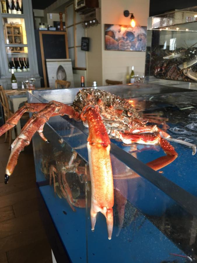 La Table De Jeanne Hotell Erquy Exteriör bild
